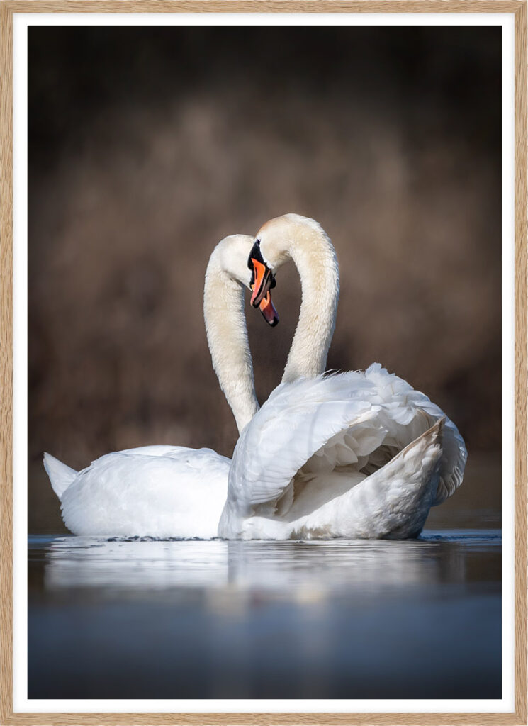 Greetings of a couple