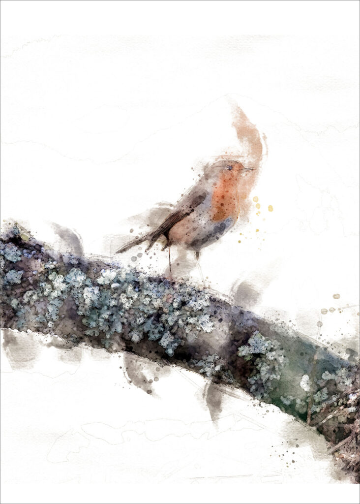 Robin