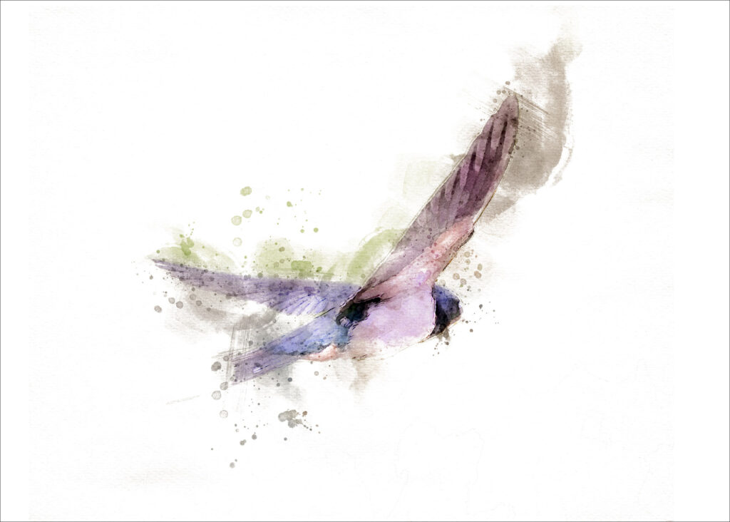 Manoeuvring swallow