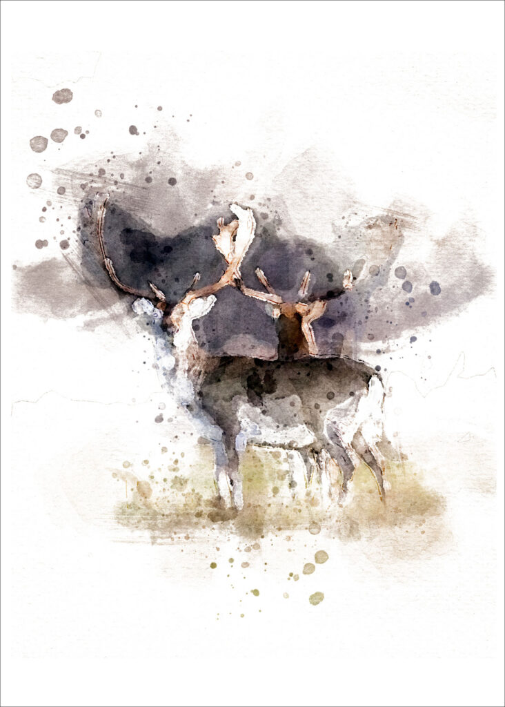 Watch deers